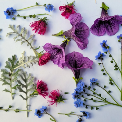 How to Dry Flowers: 4 Easy Ways