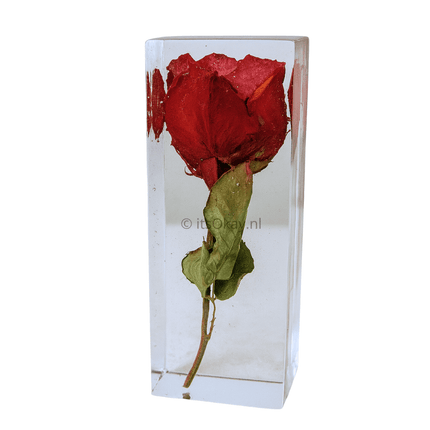Siliconen Mal Rechthoek (15 of 18 cm) - itsokay