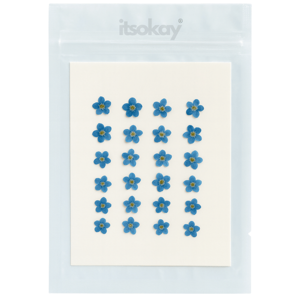 Hortitops Myosotis - Vergeet-Me-Nietje Blue Ball - Bloemenzaden - 300 mg - Bloemzaad - Pets Place Hortitops Myosotis - Vergeet-Me-Nietje Blue Ball - Bloemenzaden - 300 mg - Bloemzaad - Pets Place