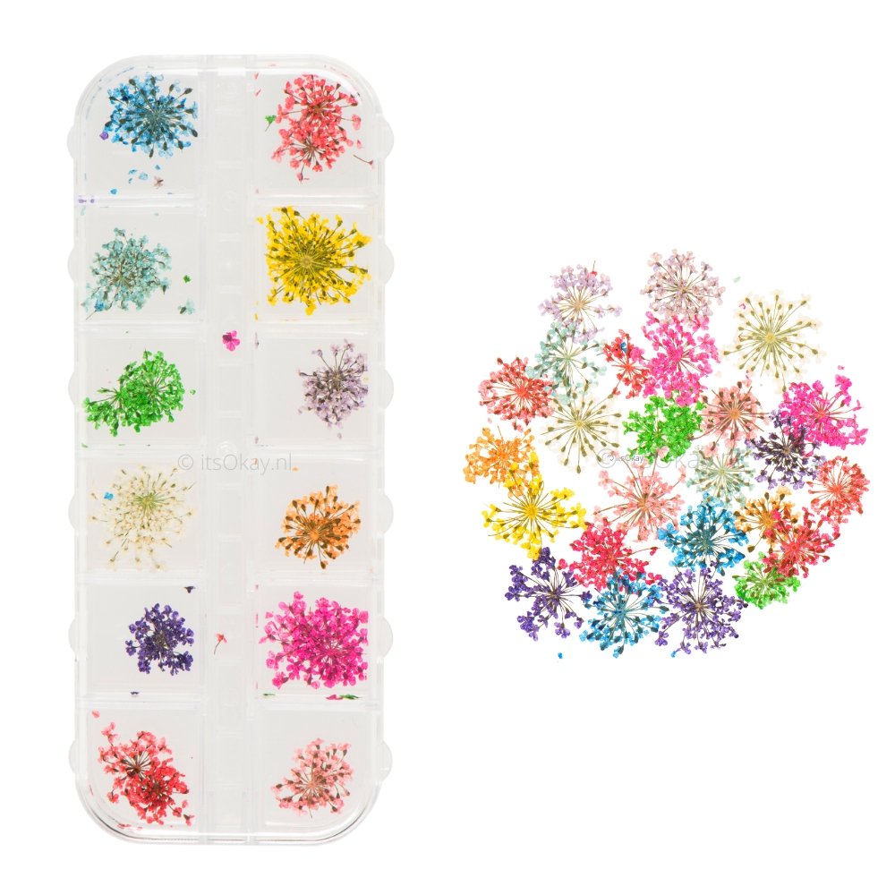 DoraMagic Natuurlijke droogbloemen, set van 10 zakjes met gedroogde bloemen, kruiden voor het maken van zeep, doe-het-zelf kaars, hars, sieraden (veel DoraMagic Natuurlijke droogbloemen, set van 10 zakjes met gedroogde bloemen, kruiden voor het maken van zeep, doe-het-zelf kaars, hars, sieraden (veel