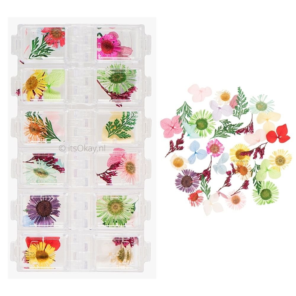 Mix Geperst Gedroogde Bloemen Paars 20st – Sugar Garden Mix Geperst Gedroogde Bloemen Paars 20st – Sugar Garden