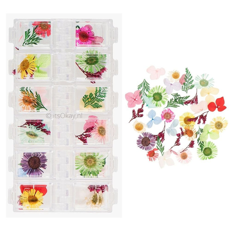 8 Dozen Gedroogde Bloemen voor Nagels - 8 Kleuren Nail Art Stickers Kit - DIY Nail Decals Decoratie Set 8 Dozen Gedroogde Bloemen voor Nagels - 8 Kleuren Nail Art Stickers Kit - DIY Nail Decals Decoratie Set