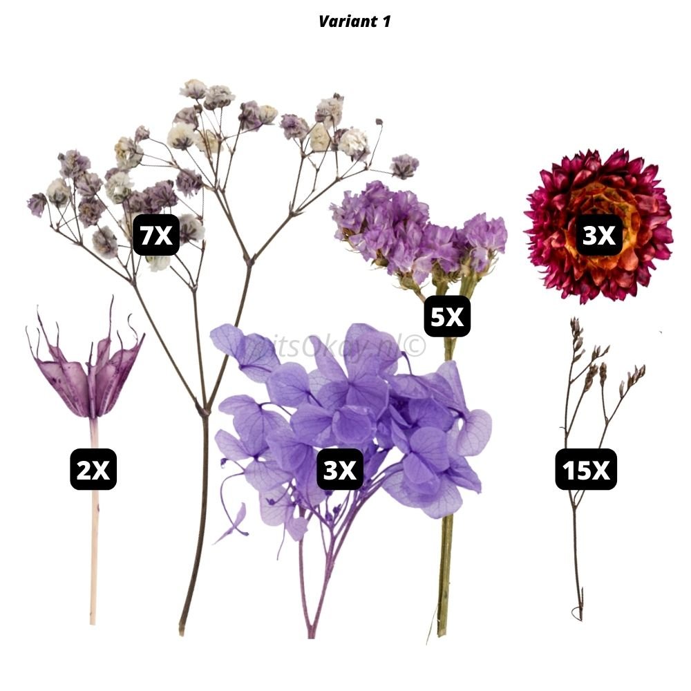 Azomor® Set van 100 Gedroogde Bloemen voor Creatieve Doe-Het-Zelf Projecten Azomor® Set van 100 Gedroogde Bloemen voor Creatieve Doe-Het-Zelf Projecten