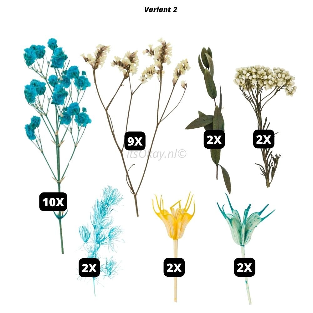 Gedroogde bloemen - Natural Heroes Gedroogde bloemen - Natural Heroes