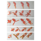 Transparant Zee Dieren Vel Voor Epoxyhars - #itsokay#